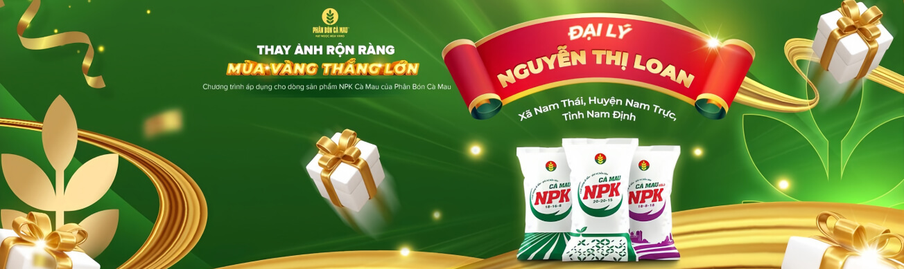 Custom products banner