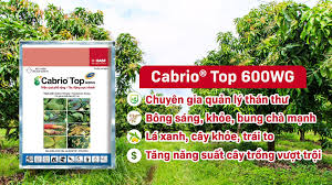 Thuốc trừ bệnh Cabrio Top 600WG