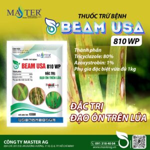 THUỐC TRỪ BỆNH BE-AM USA 810WP