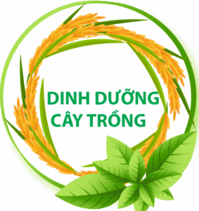 Dinh dưỡng cây trồng